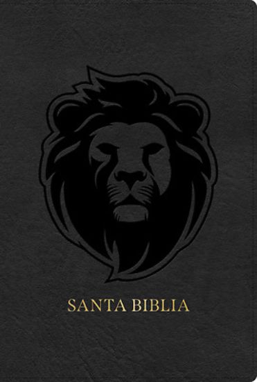 Picture of Rvr 1960 Biblia Letra Grande Tamaño Manual Edición Especial, Ceniza, Símil Piel