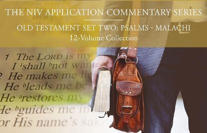 Picture of The NIV Application Commentary, Old Testament Set Two