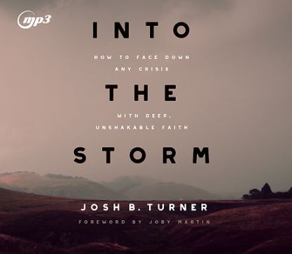 Picture of Into the Storm