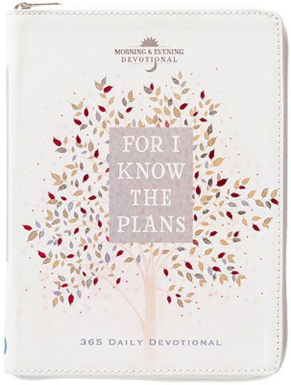 Picture of For I Know the Plans