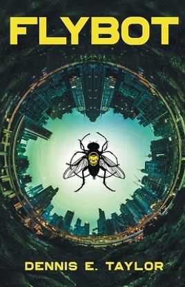 Picture of Flybot