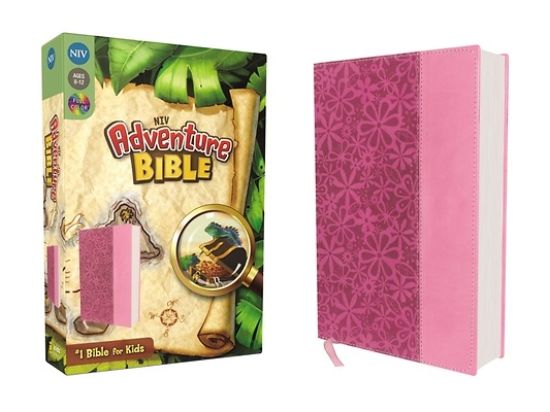 Picture of Adventure Bible, NIV