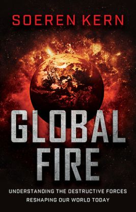 Picture of Global Fire