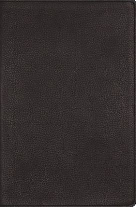 Picture of Nrsvue, Single-Column Reference Bible, Genuine Calfskin Leather, Black, Art Gilded Edges, Comfort Print