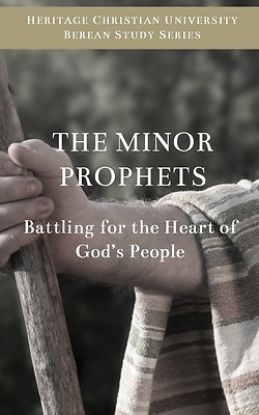 Picture of The Minor Prophets