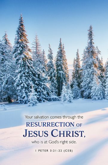 Picture of Word Alive! Weekly Bulletin without Message-Week 7, Legal Size (Package of 25)