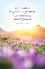 Word Alive! Weekly Bulletin without Message-Week 5, Legal Size (Package of 25)