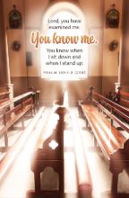 Word Alive! Weekly Bulletin without Message-Week 3, Letter Size (Package of 25)