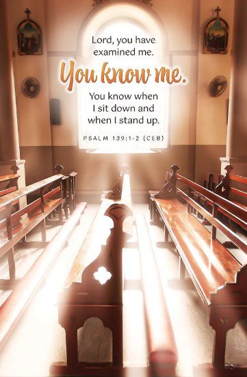 Picture of Word Alive! Weekly Bulletin without Message-Week 3, Legal Size (Package of 25)