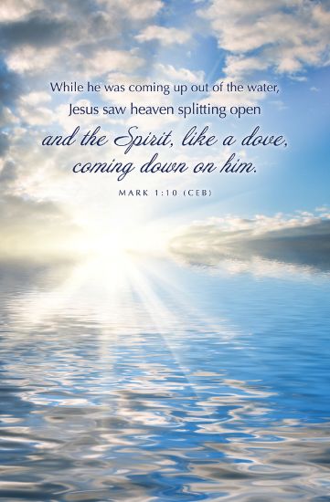 Picture of Word Alive! Weekly Bulletin without Message-Week 2, Letter Size (Package of 25)