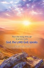 Word Alive! Weekly Bulletin with Message-Week 6, Letter Size (Package of 25)