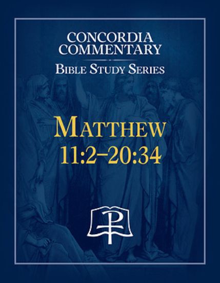 Picture of Matthew 11