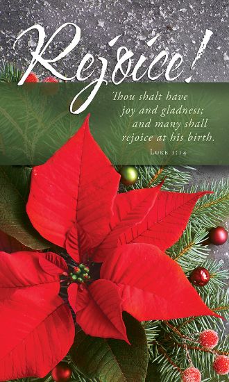 Picture of Rejoice! Christmas 3' X 5' Fabric Banner