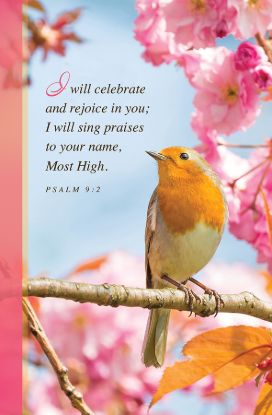 Picture of I Will Celebrate and Rejoice in You Regular Size Bulletin