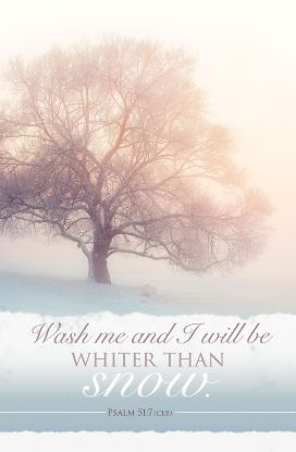 Picture of Wash Me and I will be Winter Regular Size Bulletin