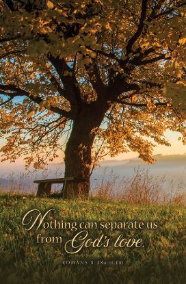 Picture of Nothing Can Separate Us Funeral Bulletin Regular