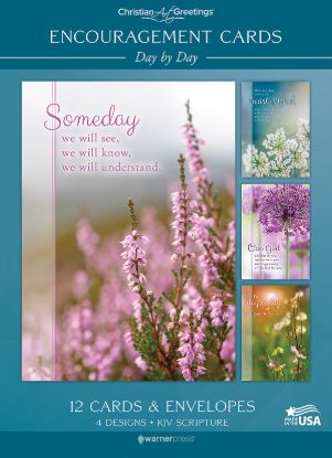 Picture of Encouragement Day by Day - Box of 12