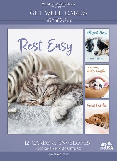 Picture of Get Well Whiskers - Box of 12