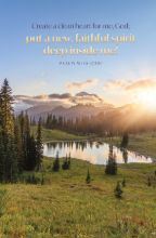 Word Alive! Weekly Bulletin with Message-Week 11, Letter Size (Package of 25)