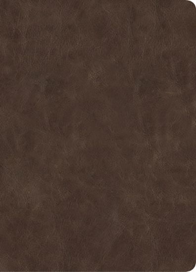 Picture of CSB Lumen Dei Bible, Lux Vitae