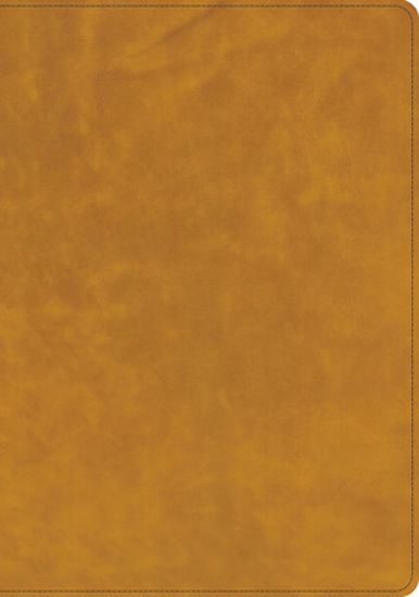 Picture of CSB Lumen Dei Bible, Lux Verbi