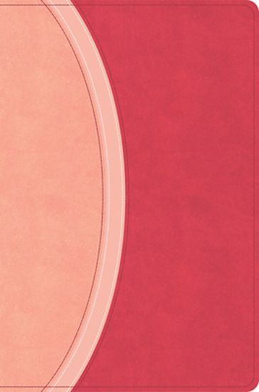 Picture of CSB Rainbow Study Bible, Pink Leathertouch