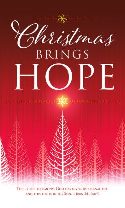 Picture of Christmas Brings Hope 3' x 5' Vinyl Banner 1 John 5:11 NIV