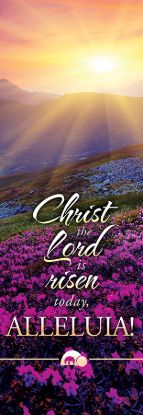 Picture of Christ the Lord is Risen Today Banner 2 x 6 Vinyl