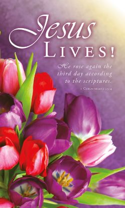Picture of Jesus Lives Banner 3 x 5 Vinyl