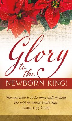 Picture of Banner Glory to the Newborn King Christmas 3 x 5 Vinyl