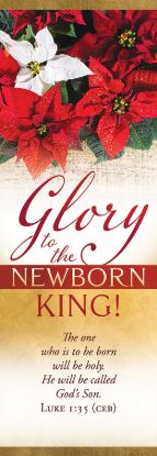Picture of Banner Glory to the Newborn King Christmas 2 x 6 Fabric