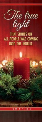 Picture of Banner Christmas The True Light that Shines 2x6 Fabric