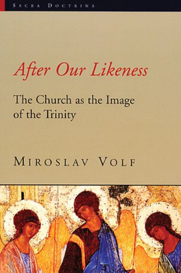 Picture of After Our Likeness