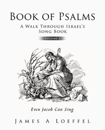 Picture of Book of Psalms A Walk Through Israel's Song Book Volume 2
