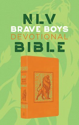 Picture of Brave Boys Devotional Bible Nlv