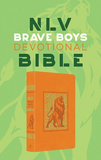 Picture of Brave Boys Devotional Bible Nlv