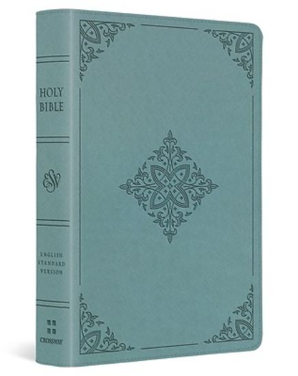 Picture of ESV Large Print Compact Bible (Trutone, Paris Sky, Fleur-De-Lis Design)