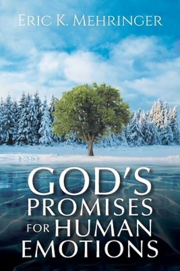 Picture of God's Promises for Human Emotions