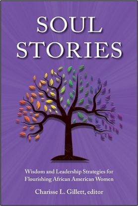 Picture of Soul Stories