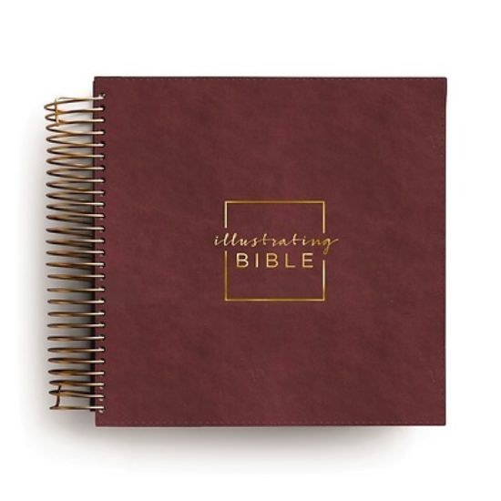 Picture of CSB Illustrating Bible - Cranberry