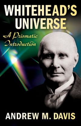Picture of Whiteheads Universe