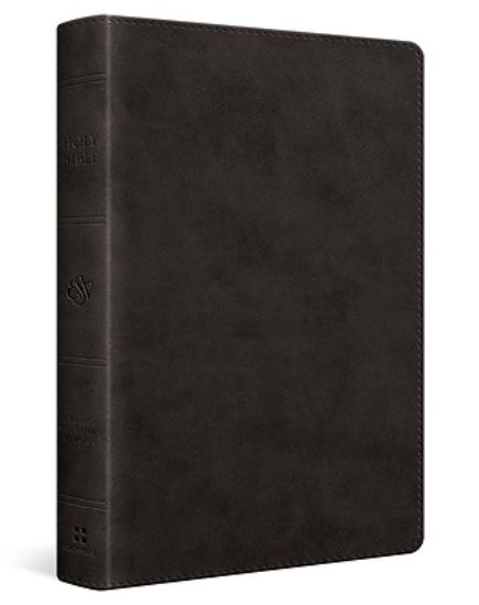 Picture of ESV Wide Margin Reference Bible (Trutone, Black)