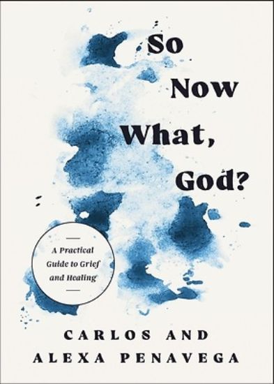 Picture of So Now What, God?