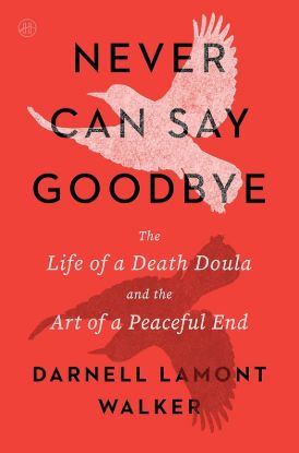 Picture of Never Can Say Goodbye