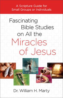 Picture of Fascinating Bible Studies on All the Miracles of Jesus