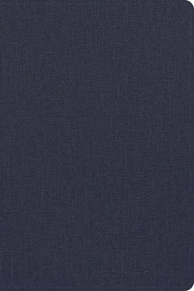 Picture of CSB Men's Daily Bible, Blue Leathertouch
