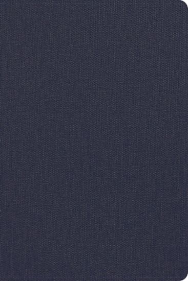 Picture of CSB Men's Daily Bible, Blue Leathertouch