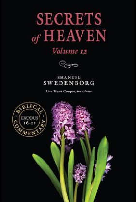 Picture of Secrets of Heaven Volume 12