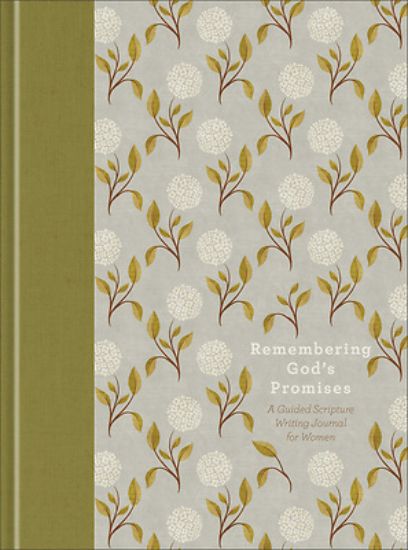 Picture of Remembering God's Promises