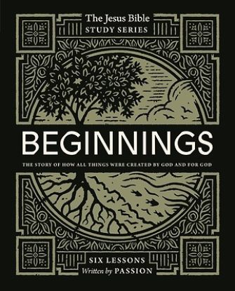 Picture of Beginnings Study Guide